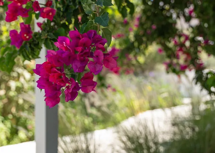 Perivoli Διαμέρισμα