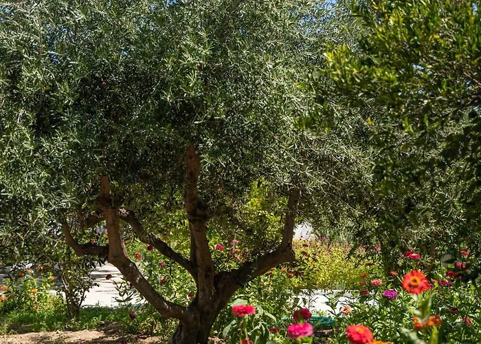 Διαμέρισμα Perivoli